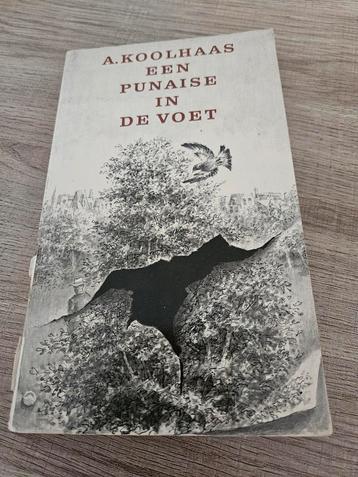 Een punaise in de voet - A. Koolhaas beschikbaar voor biedingen