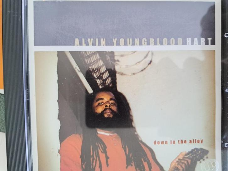 cd Alvin Youngblood Hart – Down In The Alley (2002), Cd's en Dvd's, Cd's | Jazz en Blues, Zo goed als nieuw, Blues, 1980 tot heden