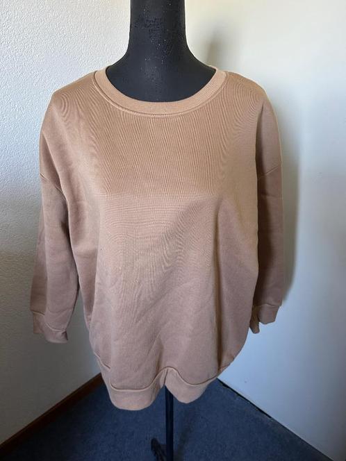 Basic bruine sweater mt XL z.g.a.n., Kleding | Dames, Truien en Vesten, Zo goed als nieuw, Maat 46/48 (XL) of groter, Bruin, Ophalen of Verzenden