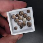 Mix van rookkwarts cabochons, Sieraden, Tassen en Uiterlijk, Edelstenen, Ophalen of Verzenden