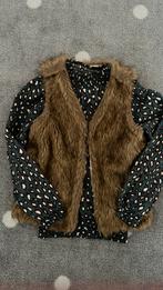 Zgan Gilet met truitje maat 116-122, Ophalen of Verzenden, Zo goed als nieuw, Meisje, Trui of Vest
