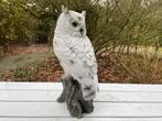 Beeld sneeuw uil, tuin, zwembad, vijver 55cm, Ophalen, Nieuw, Kunststof, Dierenbeeld