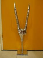 Gewei met kop aluminium, Antiek en Kunst, Curiosa en Brocante, Ophalen of Verzenden