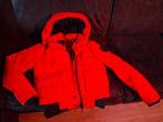 Dames Superdry Everest rode Winterjas M, Maat 38/40 (M), Superdry, Ophalen of Verzenden, Gedragen