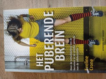 Eveline Crone - Het puberende brein beschikbaar voor biedingen