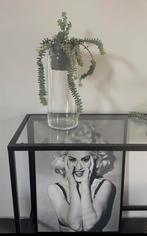 Mooie strakke glazen vaas met/zonder bio kamerplanten, Overige kleuren, Ophalen of Verzenden, Minder dan 50 cm, Glas