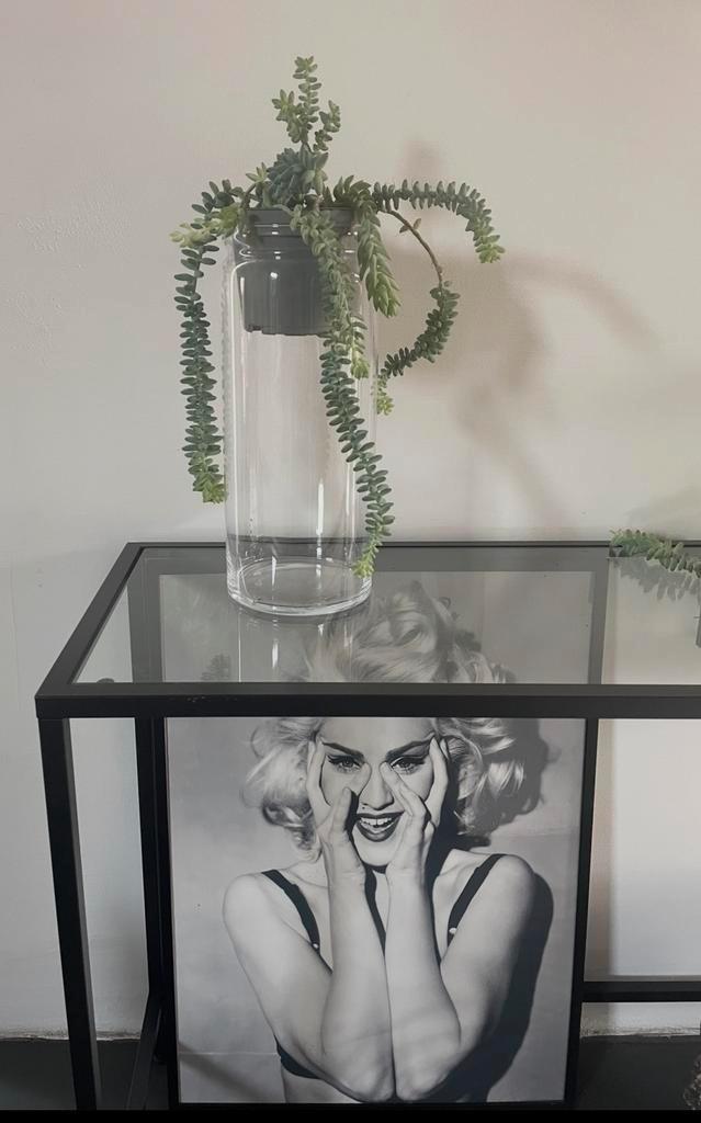 Mooie strakke glazen vaas met/zonder bio kamerplanten, Huis en Inrichting, Woonaccessoires | Vazen, Zo goed als nieuw, Overige kleuren