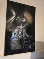 Glasschilderij - de Kraanvogel, Ophalen, Zo goed als nieuw, Schilderij, 75 cm of meer