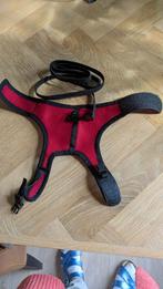 Beeztees loopharnas katten tuigje.Nieuw., Ophalen of Verzenden, Nieuw