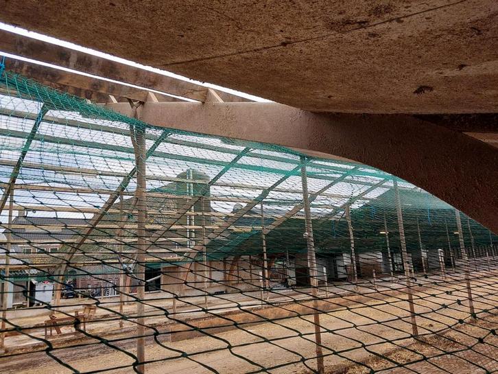 Houten Boogspanten - 9 stuks, 15m overspanning, Dieren en Toebehoren, Stalling en Weidegang