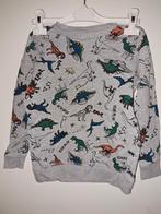 Dino Sweater Maat 122, Ophalen of Verzenden, Gebruikt, Onbekend, Jongen