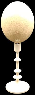 Struisvogel ei op metalen voet, Ophalen of Verzenden, Zo goed als nieuw, Insect, Opgezet dier