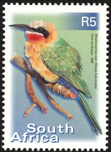 ZUID-AFRIKA 65 - Dieren: vogels (bijeneter) beschikbaar voor biedingen
