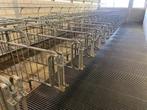 Van Osch dekboxen varkens, Varken