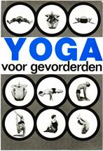 Yoga Voor Gevorderden - André Van Lysebeth / 9789020240191, Boeken, Ophalen of Verzenden, Zo goed als nieuw, André Van Lysebeth