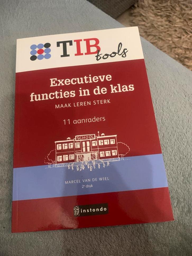 Executieve functies in de klas - Marcel van de Wiel, Boeken, Schoolboeken, Zo goed als nieuw, Overige vakken, Overige niveaus