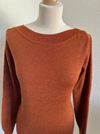 King Louie maat L oranje-bruine glitter trui 2715, Kleding | Dames, Maat 42/44 (L), Oranje, Ophalen of Verzenden, Zo goed als nieuw