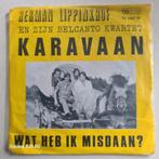 Herman Lippinkhof Karavaan-wat heb ik misdaan, Ophalen of Verzenden, Zo goed als nieuw