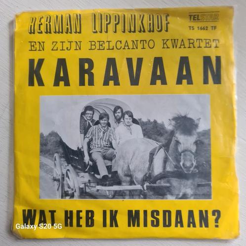 Herman Lippinkhof Karavaan-wat heb ik misdaan, Cd's en Dvd's, Vinyl | Nederlandstalig, Zo goed als nieuw, Ophalen of Verzenden