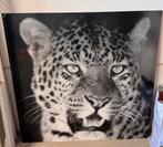 Luipaard Schilderij, Huis en Inrichting, Woonaccessoires | Schilderijen, Tekeningen en Foto's, Ophalen, Zo goed als nieuw, Schilderij