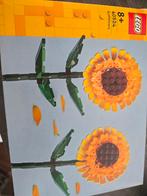 lego zonnebloem 40524, Kinderen en Baby's, Speelgoed | Duplo en Lego, Ophalen, Gebruikt