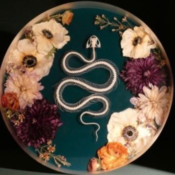 Floating snake epoxy art met echte bloemen beschikbaar voor biedingen