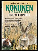 Geillustreerde KONIJNEN- en KNAAGDIEREN ENCYCLOPEDIE, Boeken, Dieren en Huisdieren, Ophalen of Verzenden, Zo goed als nieuw, Konijnen of Knaagdieren