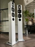 PIEGA TP5-S, Audio, Tv en Foto, Luidsprekers, Ophalen, Zo goed als nieuw, Front, Rear of Stereo speakers, Overige merken