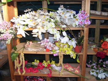 kunstplanten orchideeën beschikbaar voor biedingen