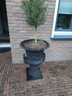 Zeer grote baardman vaas, Ophalen of Verzenden, Zo goed als nieuw