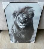 Schilderij in lijst, Minder dan 50 cm, 50 tot 75 cm, Nieuw, Ophalen of Verzenden