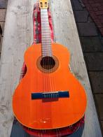 Raimundo Klassieke Gitaar, Muziek en Instrumenten, Ophalen, Klassieke of Spaanse gitaar