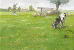 Ongelopen Ansichtkaart Weide  van het leesplankje (B3964 ) -, Verzamelen, Ophalen of Verzenden, Ongelopen