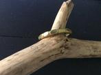 Prachtige vintage koperen armband, Ophalen of Verzenden, Gebruikt, Goud, Overige materialen