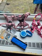 Honden harnassen kleine/ middelgrote honden., G1, Ophalen of Verzenden