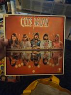The Cats - Aglow LP, Ophalen, Zo goed als nieuw, 12 inch, Poprock