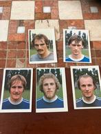 Nac panini vanderhout 1980-1981, Ophalen of Verzenden, Zo goed als nieuw, NAC Breda