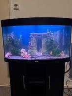 Juwel Vision 180 LED – afmetingen 92x41x55 cm, ca. 180 L, Dieren en Toebehoren, Vissen | Aquaria en Toebehoren, Ophalen, Zo goed als nieuw