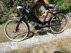 Berini M21 met geel kenteken, Maximaal 45 km/u, 49 cc, 1 versnellingen, Ophalen