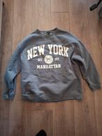 Dames trui maat L, Ophalen of Verzenden, Maat 42/44 (L), Grijs