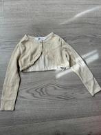 Vestje 98/104, Ophalen of Verzenden, Zo goed als nieuw, Meisje, Trui of Vest