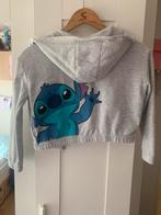 Stitch Vestje Grijs Maat 128 Primark, Ophalen of Verzenden, Zo goed als nieuw, Meisje, Trui of Vest