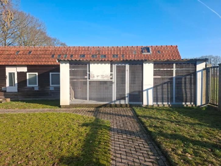 DUIVENTIL/VOILIERE MET AUTOMATISCH LOPENDE BAND SYSTEEM, Dieren en Toebehoren, Vogels | Duiven, Postduif, Meerdere dieren