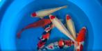 Maruhiro mix nisai, Dieren en Toebehoren, Vissen | Vijvervissen, Karper of Koi