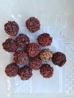 Rudraksha kralen, Maten tussen 7mm en 20 mm, Ophalen, Zo goed als nieuw, Kraal