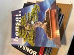 Partij bonsai tijdschriften bonsai focus en bonsai art, Boeken, Ophalen of Verzenden