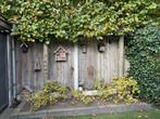 2 stuks leilindes gratis Bomen tuin., Ophalen, Gebruikt