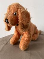 Steiff Cosy Bazi, teckel, 3620,00, Ophalen of Verzenden