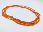 Bloedkoralen ketting met gouden slot, Amsterdam, 36 - 41 cm
