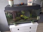 Compleet aquarium met nog wat visjes, Dieren en Toebehoren, Vissen | Aquaria en Toebehoren, Ophalen of Verzenden, Zo goed als nieuw